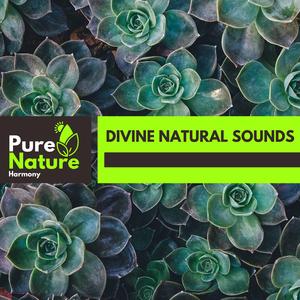 Auspicious South Carolina Beach Moments