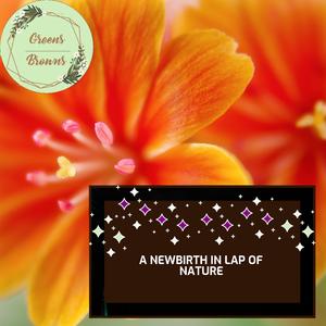 Periodic Beach Ripple