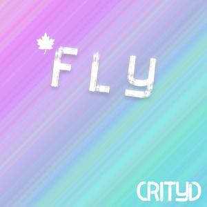 Fly CrityD