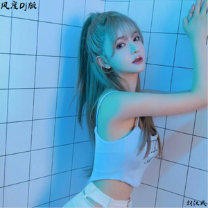 风度 (Dj版)