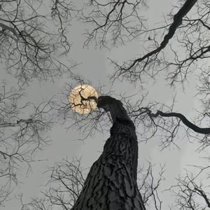 重生（prod.by Morrow）