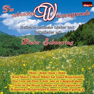 In einem kühlen Grunde