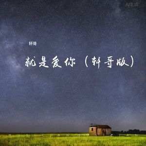 就是爱你(轩哥版)