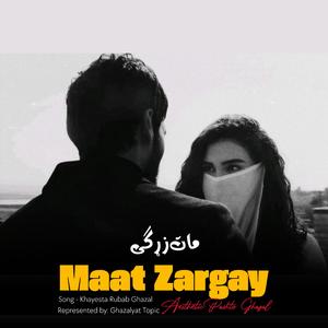 Sta tol tasweerona me sezali (Rubab Pashto Ghazal)