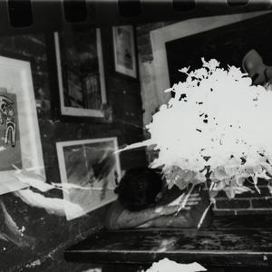 Adeia Heria (Vergissmeinnicht)