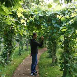 Taylor siwft Mash-up（D )（翻自 Taylor Swift）