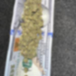 Drippy j - Evol (feat. Badreams, Prod kev rodgers & spuree)