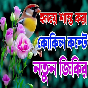 কোকিল কন্টে নতুন জিকির
