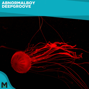 Deepgroove (Original Mix)