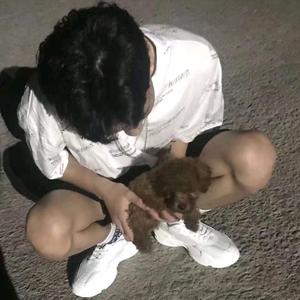 江归江山归山（翻自 浪子楚阳）