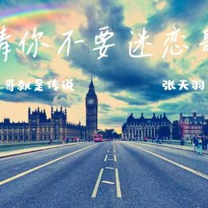 请你不要迷恋哥