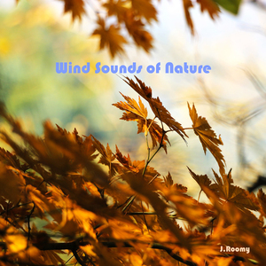 자연의 바람소리 (백색소음, 화이트노이즈, 자장가, ASMR)