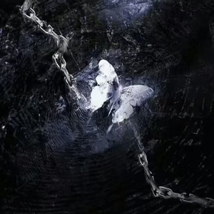 装聋作哑（降速版）