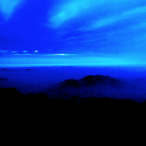 [Free] Sunflower (Prod. by Taliens)