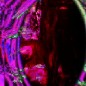 Bitmania