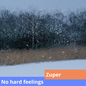 No Hard Feelings