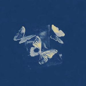 来不及爱你 cover