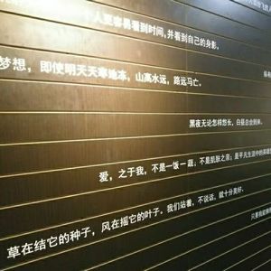 何惧少年青丝多