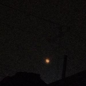 很爱很爱你 cover 刘若英