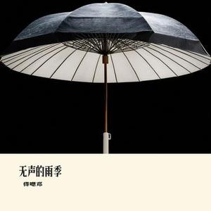 无声的雨季