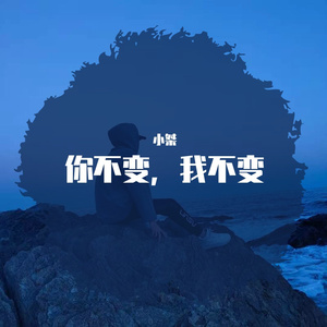 我变了，我没变-小桀（翻自 杨宗纬）