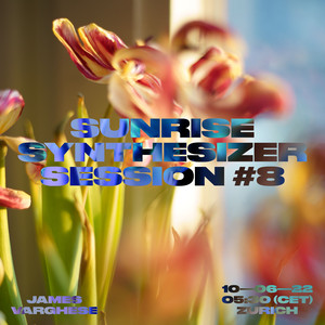 Sunrise Synthesizer Session 8.1