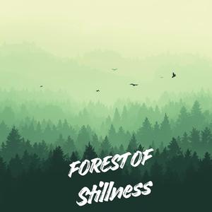 Forest of Stillness