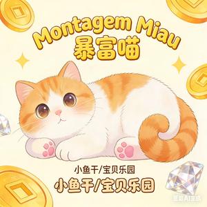 Montagem Miau 暴富喵(I like money)