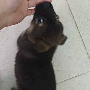 新年里未被辜负的日常