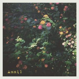 Ammil