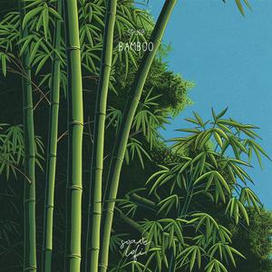 Bamboo