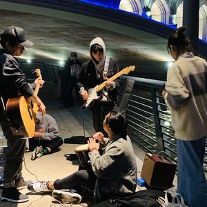 老外滩桥下的蛤蟆