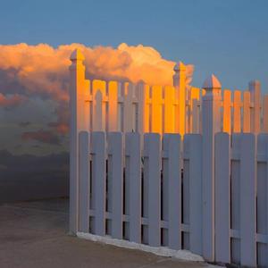 她和我的乌托邦