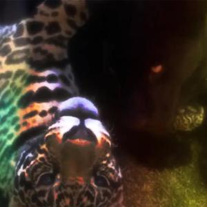 Mo Likely (feat. athera)