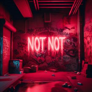 NOT NOT (feat. Chrit)