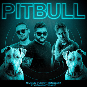 GIVE ME EVERYTHING ((FUNK REMIX))