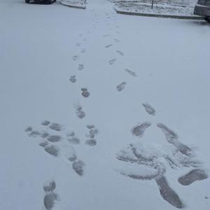 looking for you (feat. stellamizu)