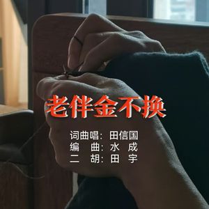 老伴金不换 伴奏