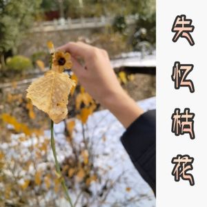 累赘（张绪茜）