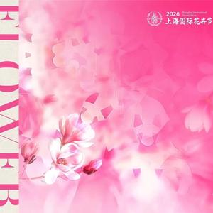 花开的声音是粉色的