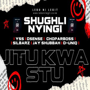 Shughuli Nyingi