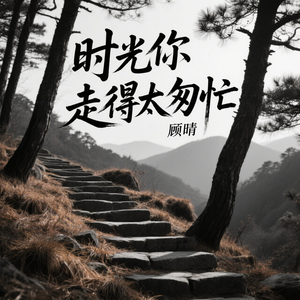 时光你走得太匆忙