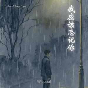 我应该忘记你 (I should forget you)