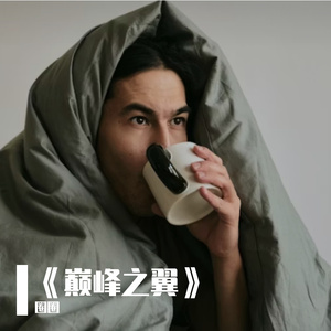 《巅峰之翼》