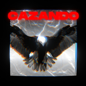 Cazando