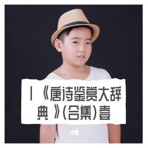 Ⅵ唐诗鉴赏大辞典（陆）望月怀远、归燕诗、赋得自君之出矣、登鹳雀楼、凉州词、秋登万山寄张五