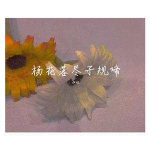 杨花落尽子规啼