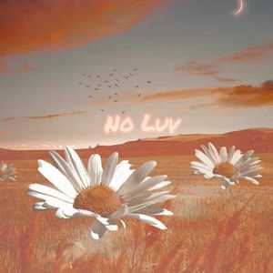 NoLuv