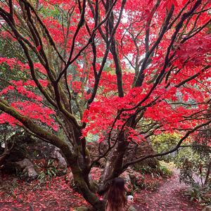 Melancholy (feat. Mitchell Rhys Jones)