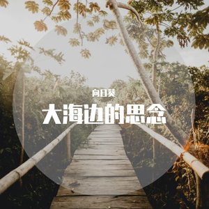 大海边的思念